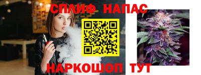 шишки Шахты