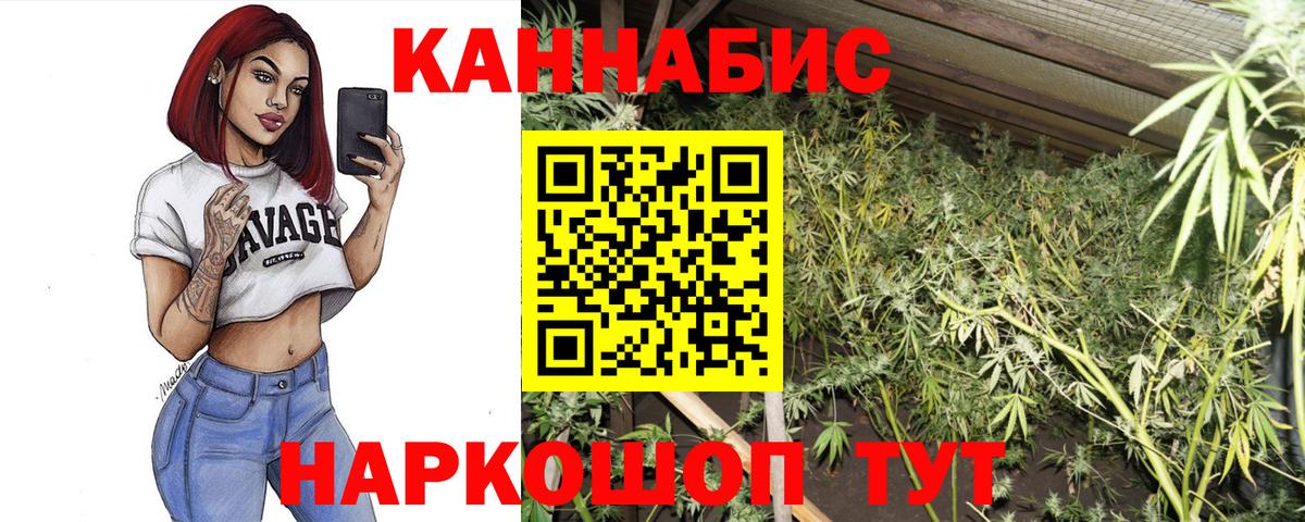 Шишки марихуана конопля  Каннабис OG Kush  Зеленокумск  Бошки марихуана OG Kush  Вход с VPN  Бошки Шишки Amnesia 